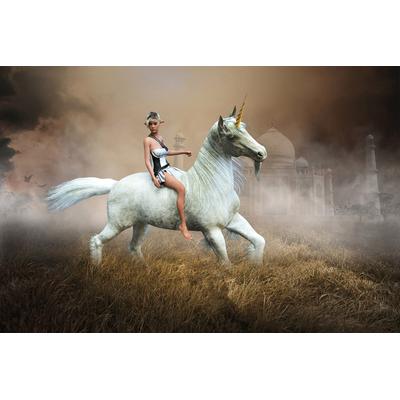 Fototapete PAPERMOON "Einhorn Fantasy Elf", bunt, B:3,5m L:2,6m, Vlies, Tapeten
