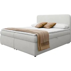 BOXBETT Bonny - H3