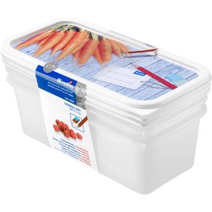 Rotho Frischhaltedose Domino, aus Kunststoff, 1,2 Liter, Gefrierdose, transparent, Set, 3 Stück