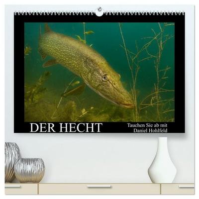 Der Hecht - Tauchen Sie ab mit Daniel Hohlfeld (hochwertiger Premium Wandkalender 2027 DIN A2 quer), Kunstdruck in Hochglanz