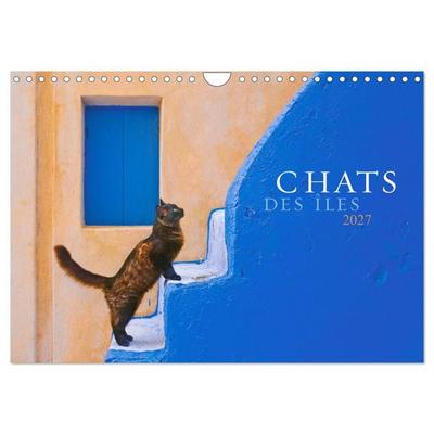 Chats des îles (Calendrier mural 2027 DIN A4 vertical), CALVENDO calendrier mensuel