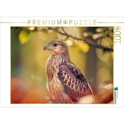 CALVENDO Puzzle Farbgesichter der Natur, jeder Vogel ein Charakter. | 1000 Teile Lege-Größe 64 × 48 cm Foto-Puzzle für glückliche Stunden, von ,