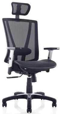 ErgoMax 53 in Tall Ergonomic Adjustable Office Chair, Home Office Ergonomic Chair, Ergonomic Chair With Headrest