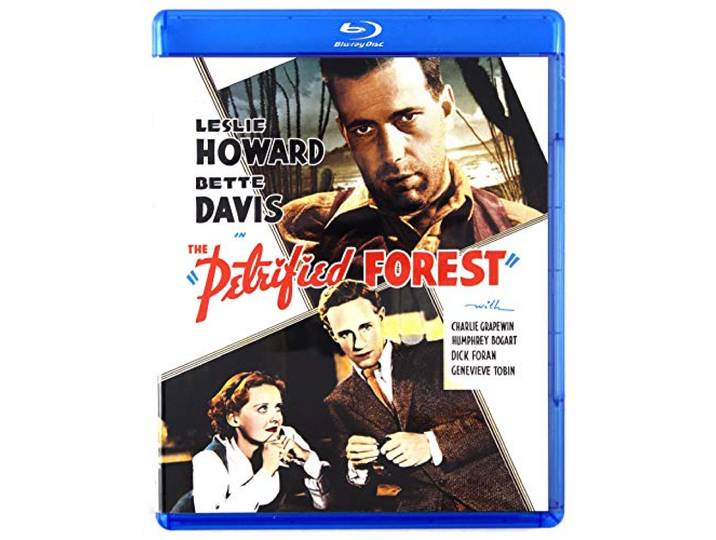 The Petrified Forest
