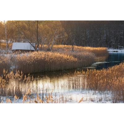 Fototapete PAPERMOON "Fluss", bunt, B:5m L:2,8m, Vlies, Tapeten