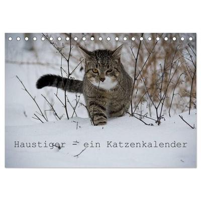 Haustiger - Ein Katzenkalender (Tischkalender 2026 DIN A5 quer), CALVENDO Monatskalender