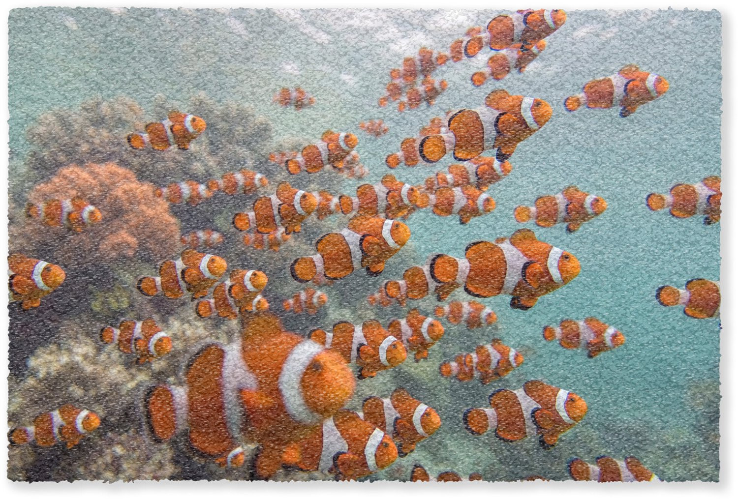 Oranje Vis Deurmat voor Binnen - Onderwater Dieren Inloopmat - 120 x 80 cm