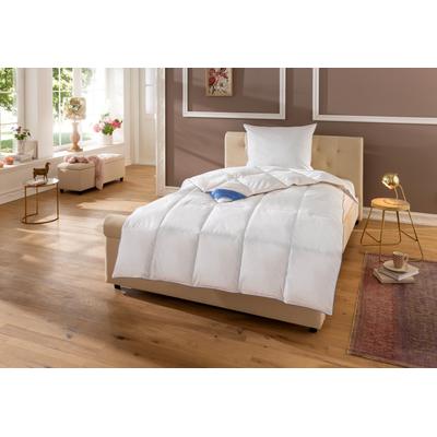 Daunenbettdecke HANSE BY RIBECO "Lina", weiß, B:155cm L:220cm, Bezug: 100% Baumwolle. Füllung: 90% Daunen, 10% Federn, Bettdecken, Hochwertiges Naturprodukt