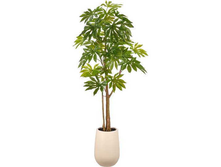 Kunstbaum CREATIV GREEN Aralia japonica , grün, H:175cm, Obermaterial: 100% Kunststoff, Kunstpflanzen, Kunstbaum, in beeindruckender Größe