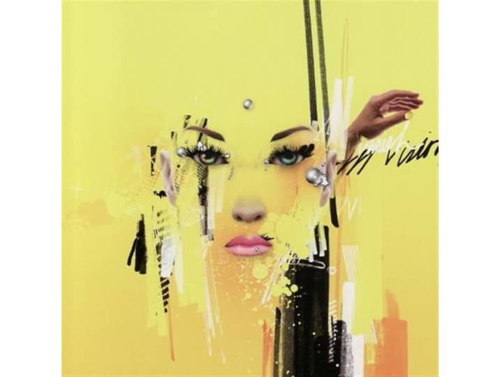 In Vision Vanish Invisible