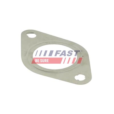 FAST Dichtung, Abgasrohr FT84811 Eingang für Ford MAZDA