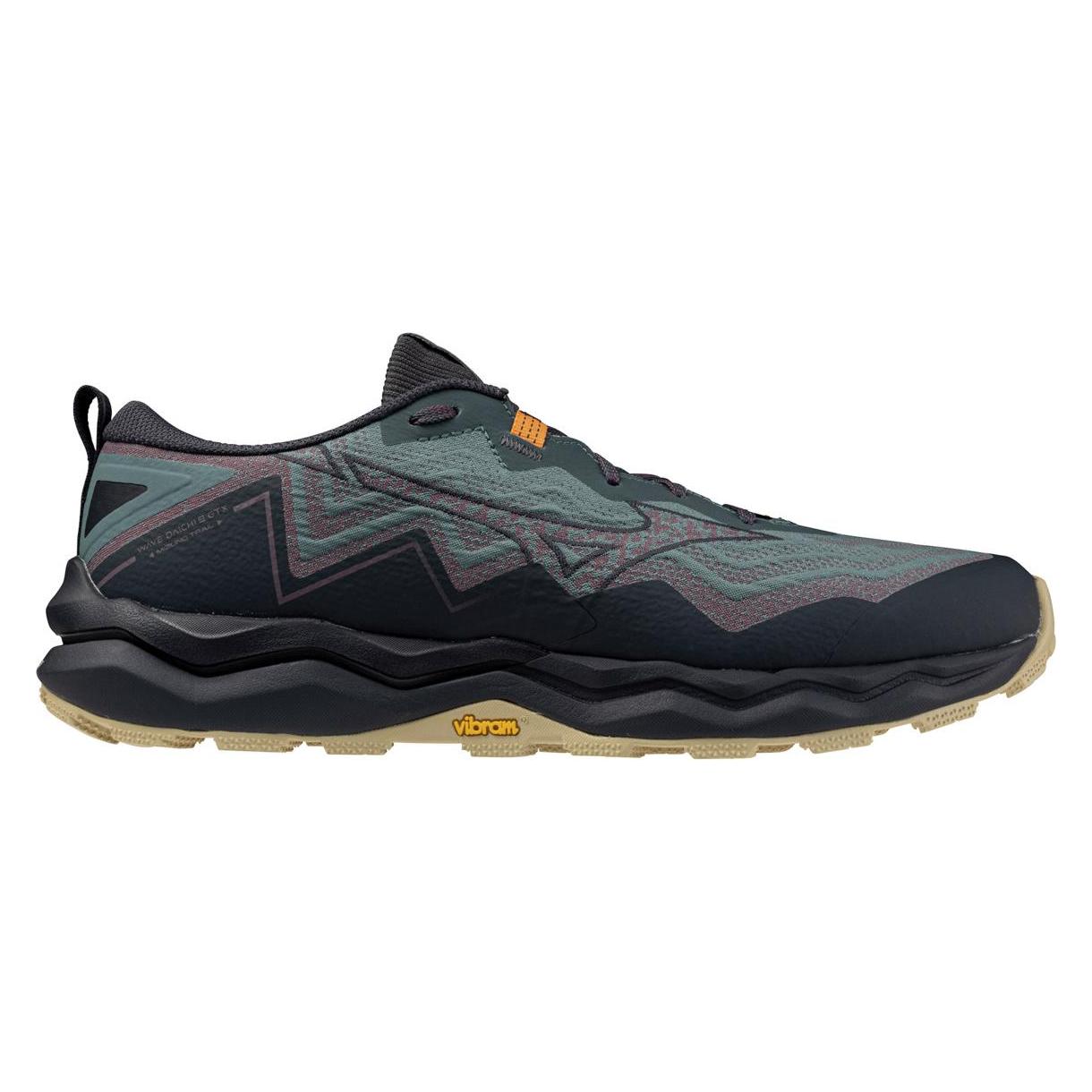 Mizuno Wave Daichi 9 Gtx (42.5) (J1GJ255611)