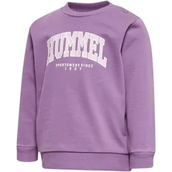 hummel hmlFAST LIME Baby-Sweatshirt argyle purple 62