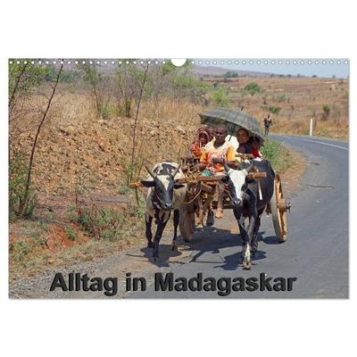 Alltag in Madagaskar (Wandkalender 2026 DIN A3 quer), CALVENDO Monatskalender
