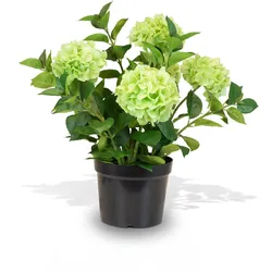 Hortensie (Hydrangea) Kunstpflanze mit 5 Blüten grün