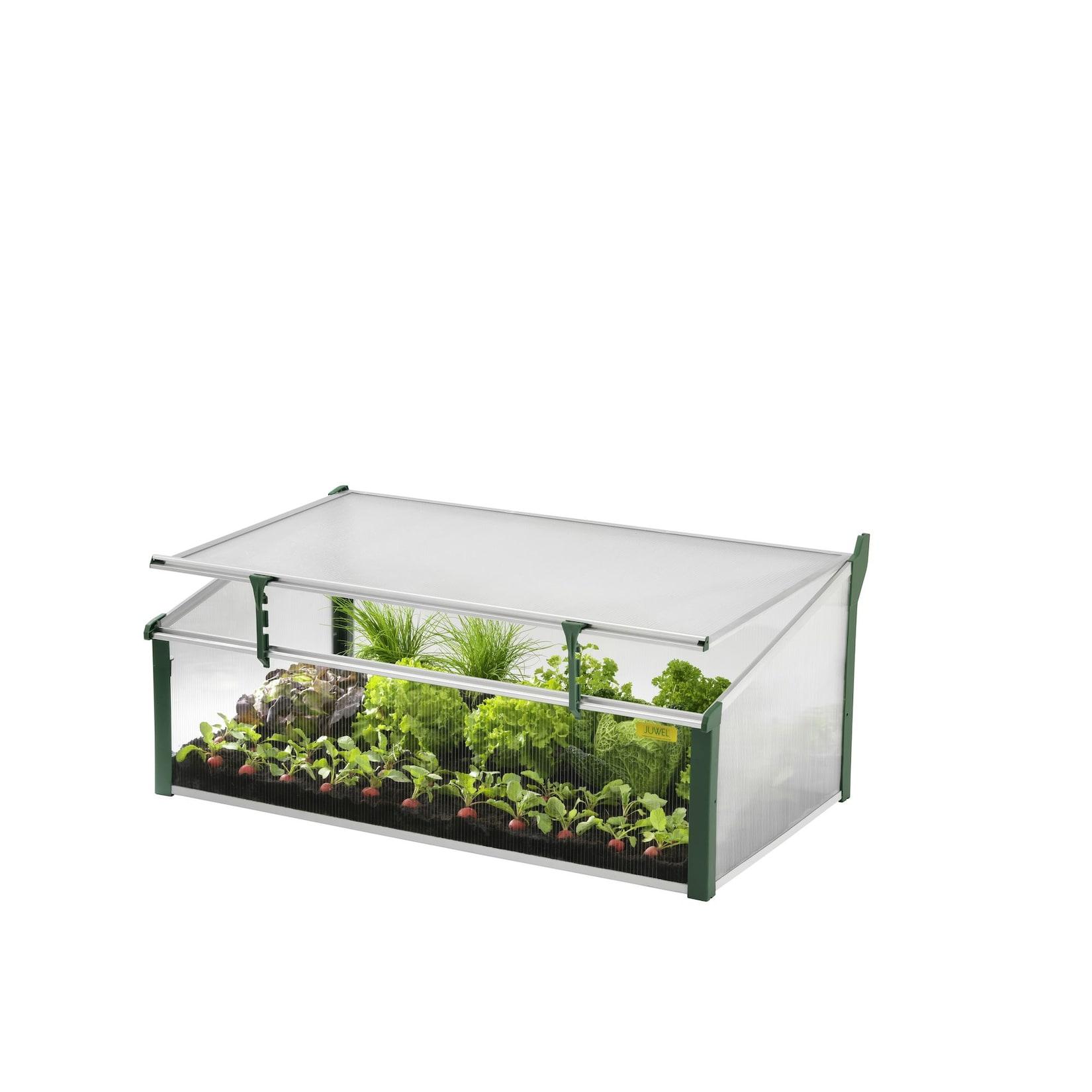Juwel Frühbeet Gewächshaus Easy Fix + Fensterfixierung, Größe 100x60x40 cm