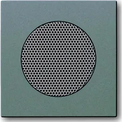 Busch-Jaeger Zentralscheibe meteor/gr f.EB-Lautsprecher 8253-803