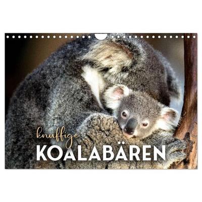 Knuffige Koalabären (Wandkalender 2027 DIN A4 quer), CALVENDO Monatskalender