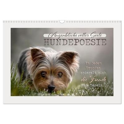 Hundepoesie - Augenblicke voller Seele (Wandkalender 2027 DIN A3 quer), CALVENDO Monatskalender