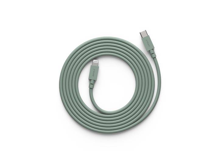 Avolt Cable 1 USB C vers Lightning câble de recharge 2m Chêne vert