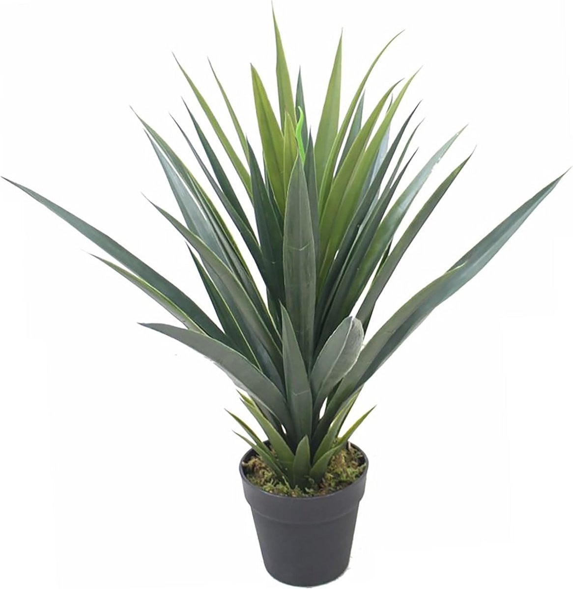 60cm Kunstmatige Agave Succulent in Pot - Realistische Groene Kamerplant voor Binnen