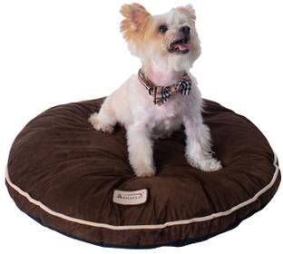 Poly Fill Dog Cushion Bed Pad, Sage Green by Armarkat in Sage