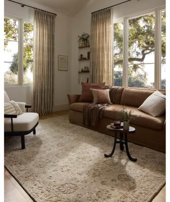 Alexander Home Paxen Traditional Area Rug