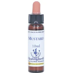Bachblüten Mustard Healing Herbs Tropfen 10 ml