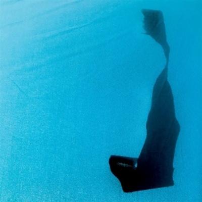 HIGH REMEMBRANCE (Clear Vinyl) - Unwed Sailor, Vinyl