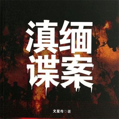 滇缅谍案 - 文星传, Audio, 4069828011021