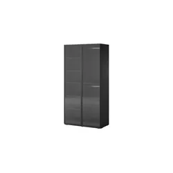 Drehtürenschrank mit Glastüren  ¦ schwarz ¦ Maße (cm): B: 101 H: 200