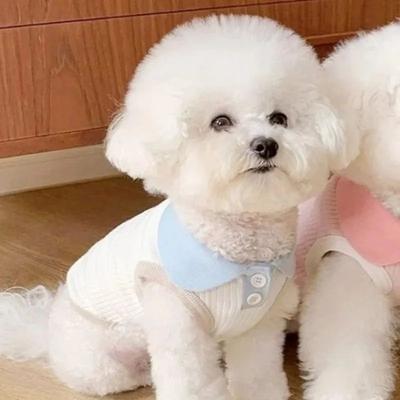Uplift Treasures Lightweight Summer Dog Shirt For Puppies white xl