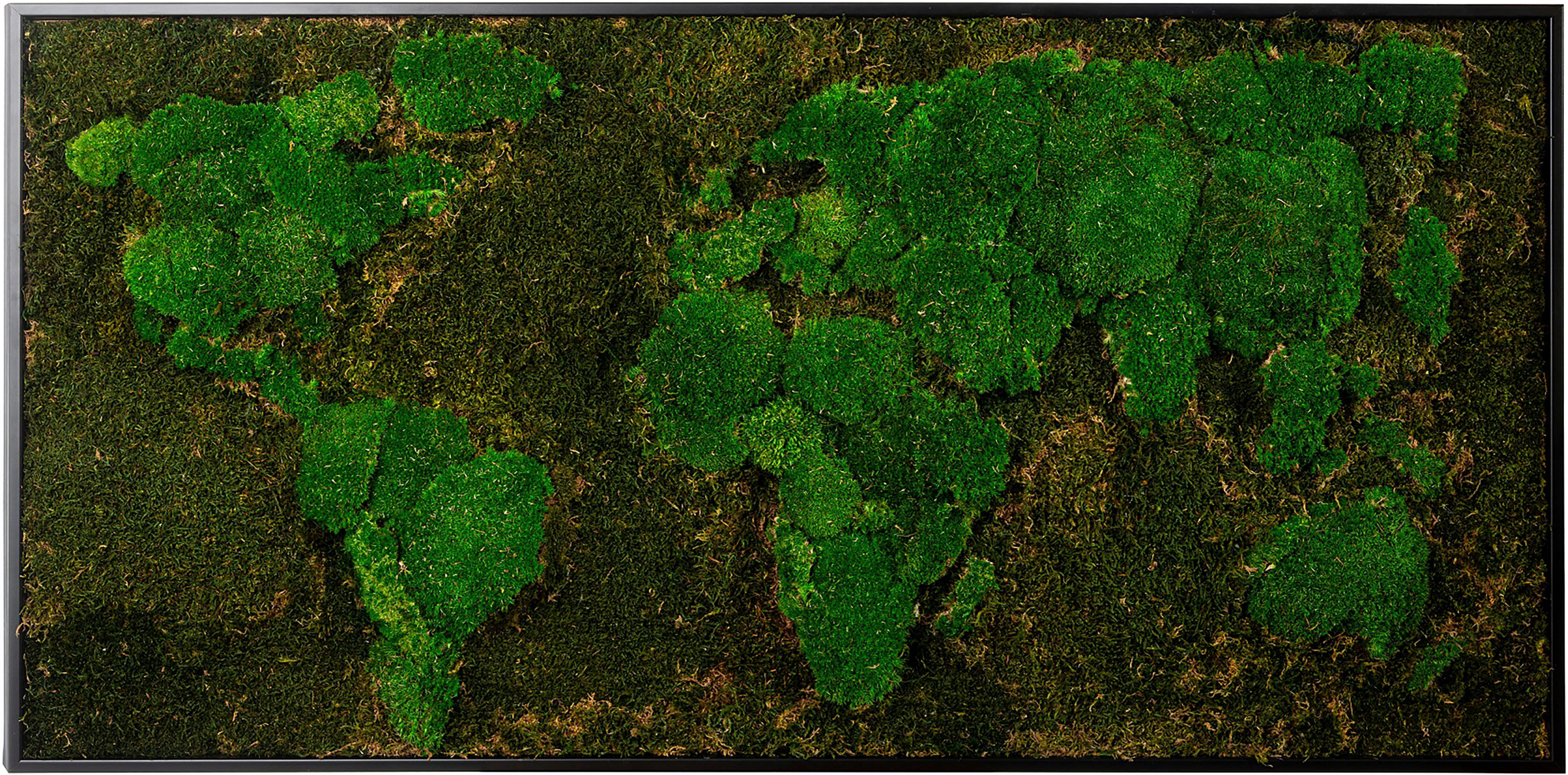 Bild mit Rahmen BÖNNINGHOFF "Moosbild "Weltkarte" 60x120 cm, schwarzer Rahmen", grün (farbe rahmen: schwarz, farbe bild(er): grün), B:120cm H:60cm T:5,5cm, Holzwerkstoff, Bilder, Bild mit Rahmen, handgefertigt, jedes Bild ein Unikat farbe rahmen: schwarz,