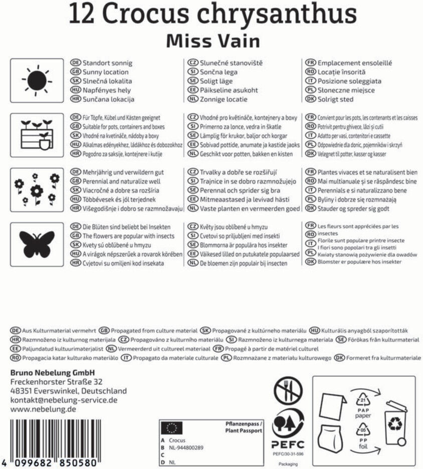 Kiepenkerl Herbstblumenzwiebel Krokus Miss Vain 12 Pflanzen