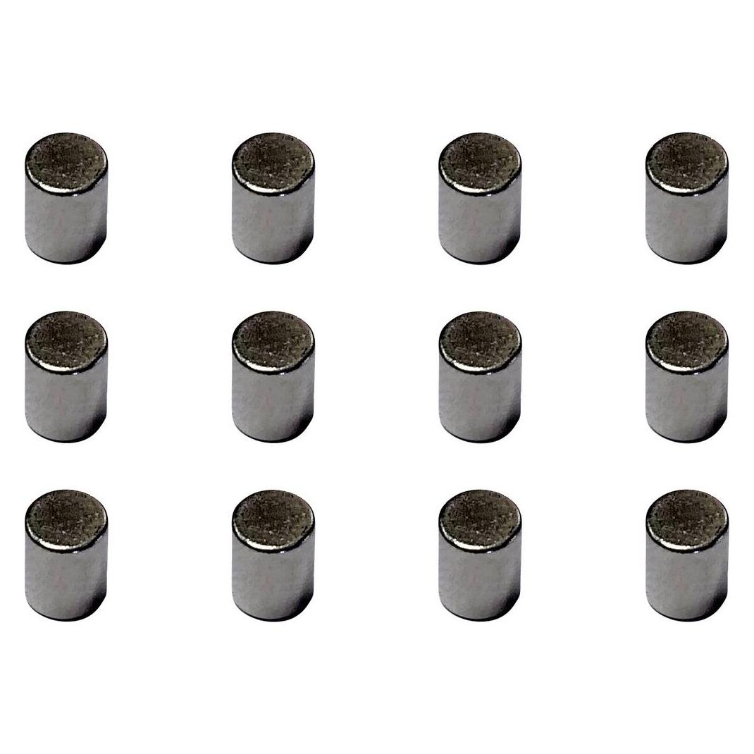 Viessmann Modelltechnik 8431 Car System Dauermagnete, 12 Stück (8431)