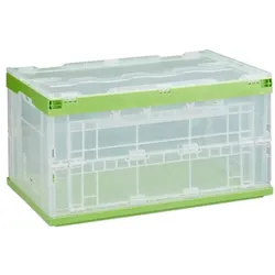 Relaxdays 2 x Transparente Transportbox mit Deckel Grün,Transparent