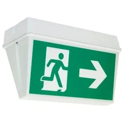H1 Solutions Sicherheitsleuchte SixtysixLZigbee3HBOX