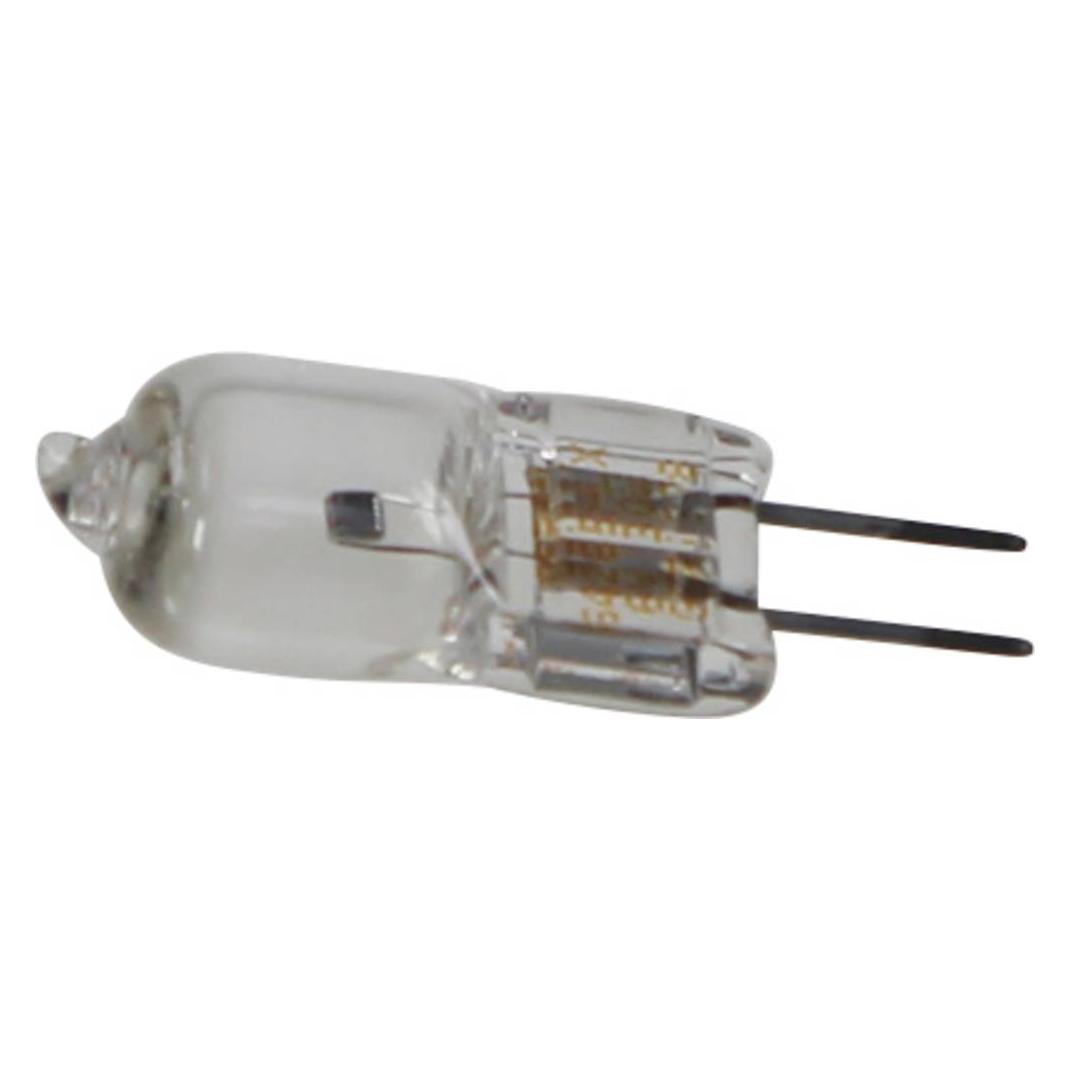 Kern Birne OBB-A1372 (OBB-A1372)