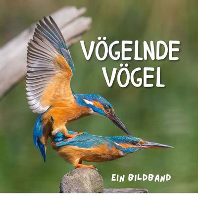 Vögelnde Vögel, Taschenbuch von Tim Fröhlich, 27amigos, 978-3-7505-0641-1