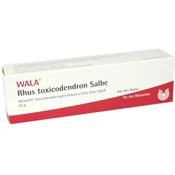 RHUS Toxicodendron Salbe 30 g