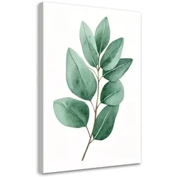 LEINWANDBILD Natur und Botanik 40x60cm