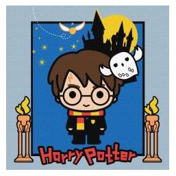 Ideyka Malen nach Zahlen - Harry Potter (78585411)