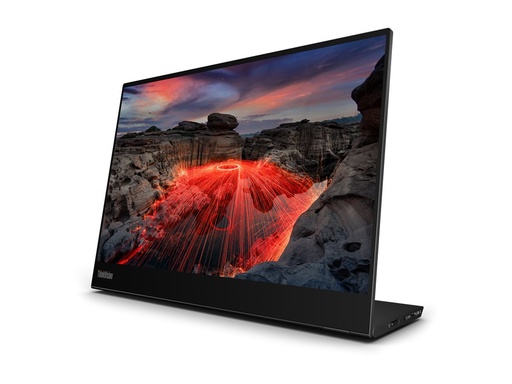 Lenovo ThinkVision M14t Gen 2 - LED-Monitor - 35.6 cm (14") (63FDUAT6WL)