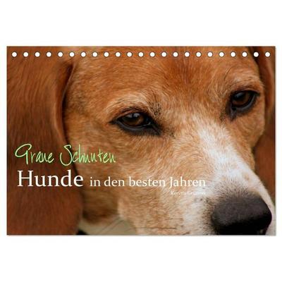 Graue Schnuten - Hunde in den besten Jahren (Tischkalender 2026 DIN A5 quer), CALVENDO Monatskalender