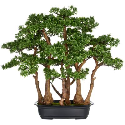 Kunstbonsai CREATIV GREEN "Bonsai Teeblatt", grün, B:60cm H:60cm, Kunststoff, Kunstpflanzen, mit detailgetreuer Gestaltung