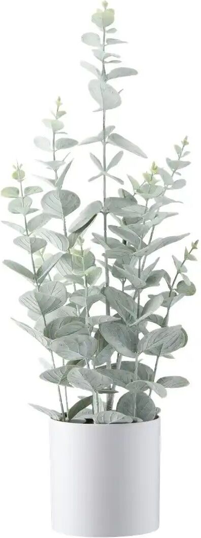 Höffner Eukalyptus getopft   ¦ grün ¦ Kunststoff ¦ Maße (cm): H: 52