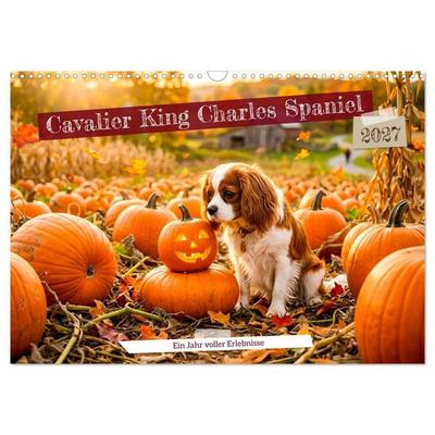 Cavalier King Charles Spaniel - Ein Jahr voller Erlebnisse (Wandkalender 2027 DIN A3 quer), CALVENDO Monatskalender