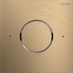 Gira System 106 Sprachmodul IP, Bronze, 5592 921