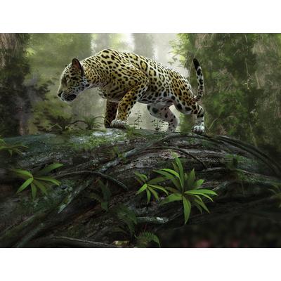 Fototapete PAPERMOON "Jaguar on the Prowl", bunt, B:3m L:2,23m, Vlies, Tapeten