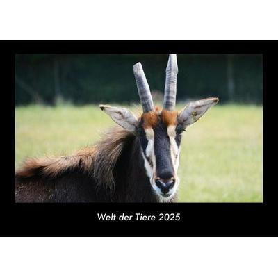 Welt der Tiere 2025 Fotokalender DIN A3